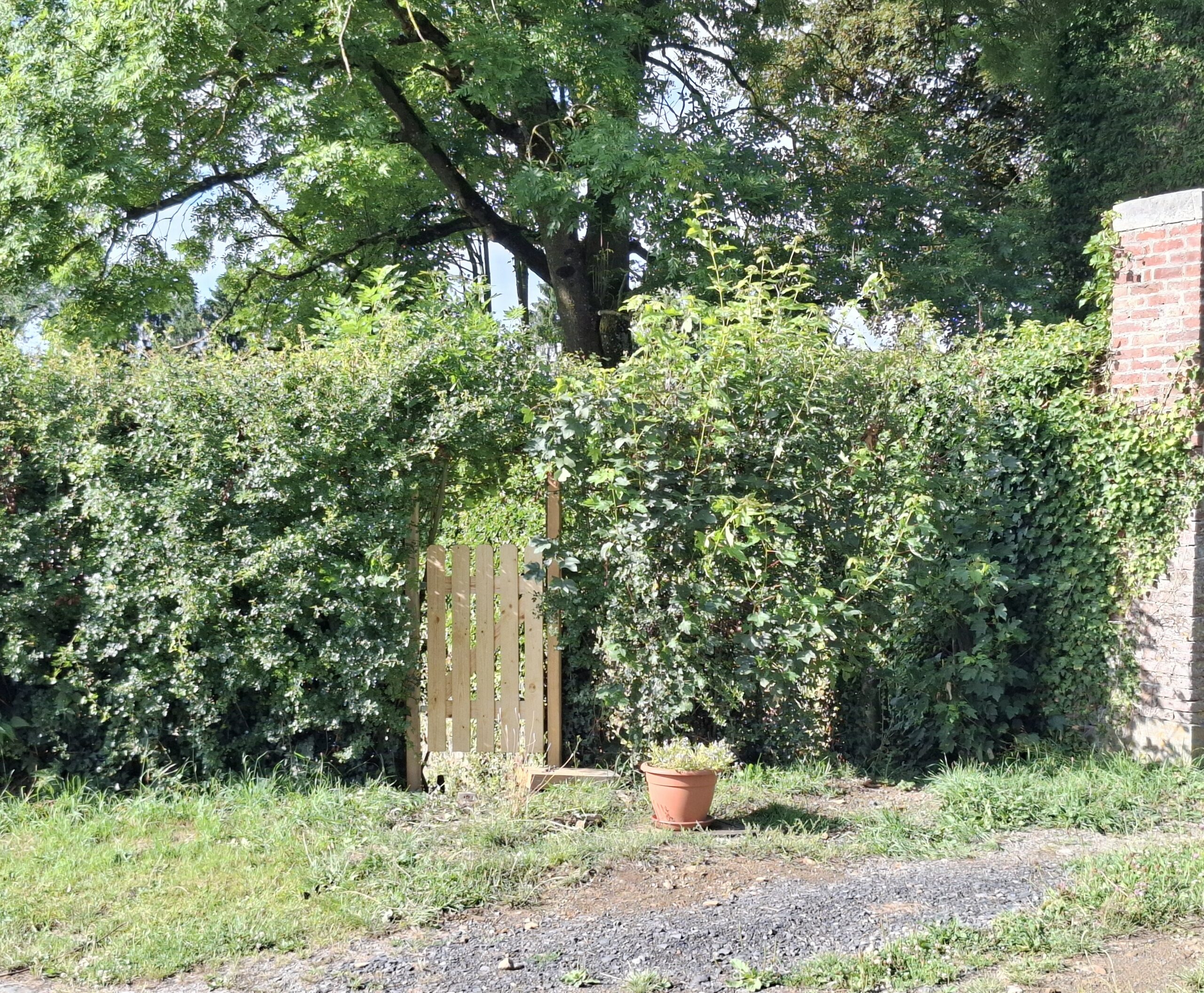 Délimitation du petit jardin